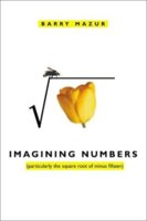 Imagining Numbers bookcover.jpg