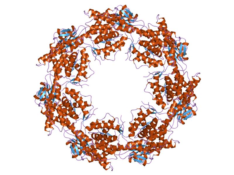 File:PDB 1grl EBI.jpg