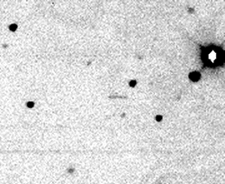 Asteroid 2000 SG344.gif