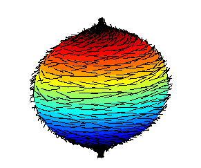 File:Hairy ball.png