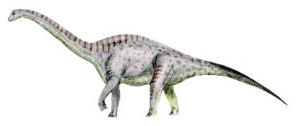 File:Tastavinsaurus BW.jpg