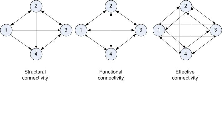 File:Figure 2-Types of brain connectivity.jpg