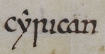 File:Anglo-Saxon Chronicle - cyrican.jpg