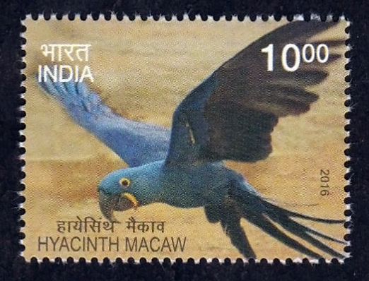 File:India Post 2016 Hyacinth macaw 10r.jpg