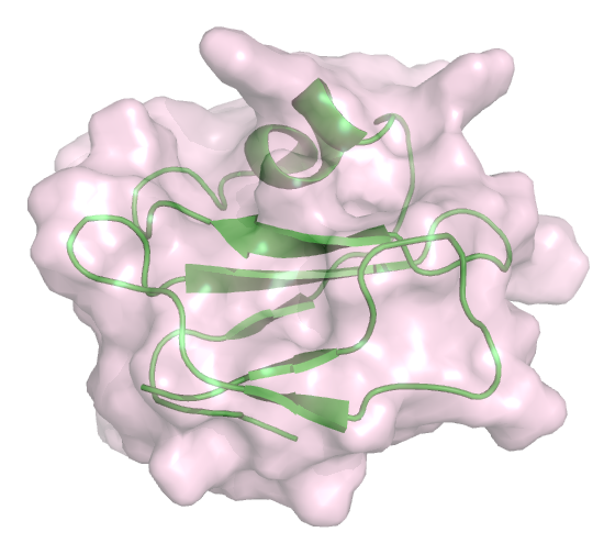 File:MAC inhibitor CD59.png