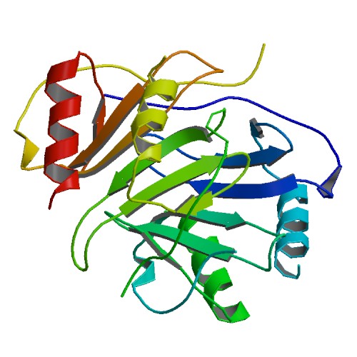 File:PBB Protein PF4 image.jpg