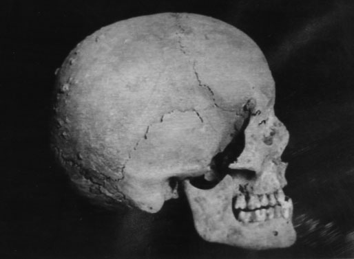 File:Skulls of Avicenna.jpg