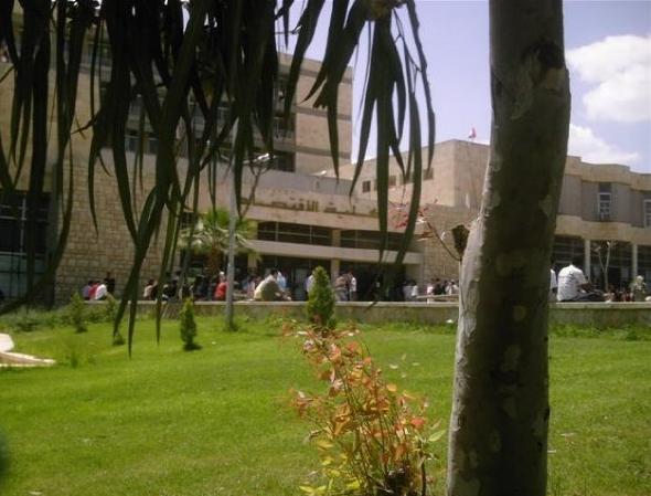 File:University of Aleppo, Faculty of Economics, 2009.jpg