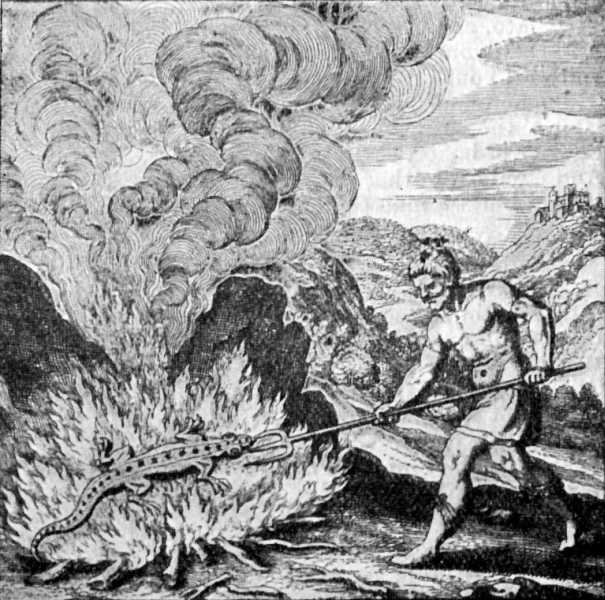 File:Salamander from The Story of Alchemy and the Beginnings of Chemistry.jpg