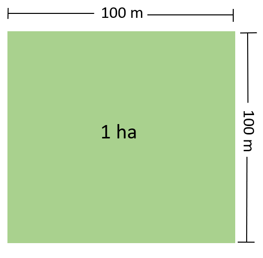 File:Illustration of One Hectare.png