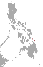 Dinagat Gymnure area.png