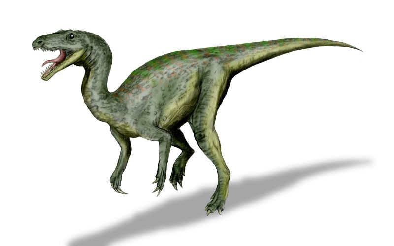 File:Gojirasaurus BW.jpg