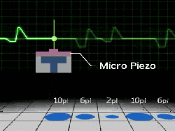 Micro Piezo Animation.gif