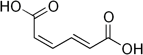 File:Muconic acid EZ.png