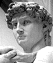 Michelangelo's David - Burkes.png