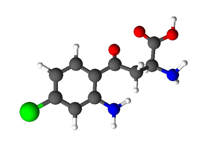 File:4-Chlorokynurenineballstick.jpg