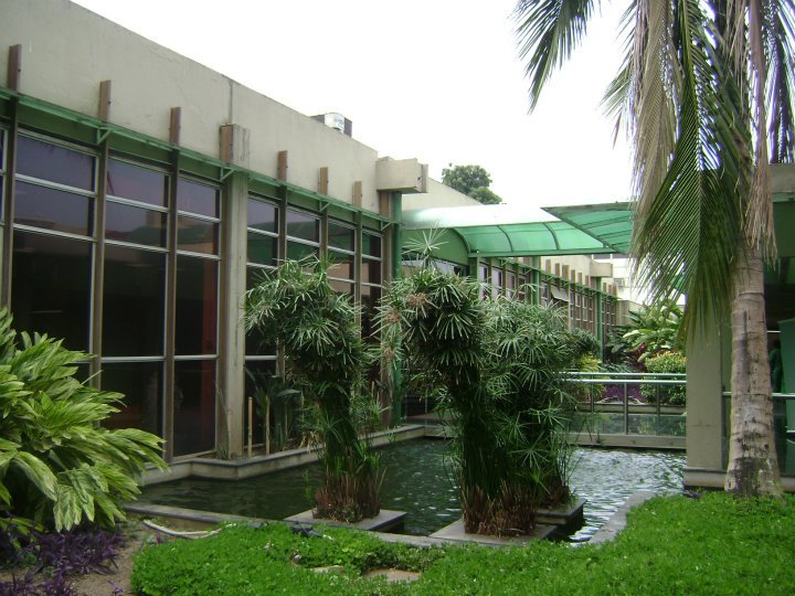 File:Jardim do Centro de Ciências Matemáticas e Natureza (CCMN) da Universidade Federal do Rio de Janeiro (UFRJ).jpg