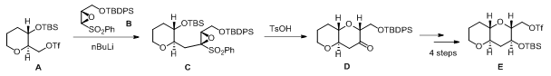 File:Figure 3. Mori’s iterative polypyran synthesis.png