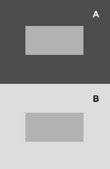 File:Simultaneous contrast.png