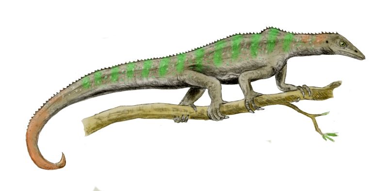 File:Megalancosaurus BW.jpg