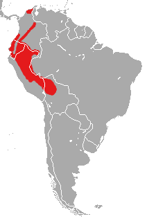 Coendou bicolor Distribution Map.png