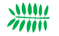 File:Leaf morphology even pinnate.png