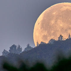 File:Night contrast Moon.jpg