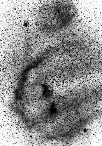File:Nebula-Barnard's-Loop-bw-inverse.jpeg