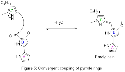 Stitching together the pyrrole rings of prodigiosin