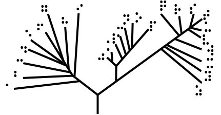 File:Phylogenetic treePureThickBraille.jpg
