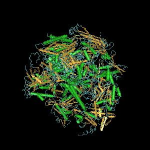 File:RNA polymerase II.fcgi.png