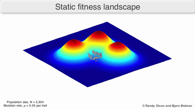 File:Visualization of a population evolving in a static fitness landscape.gif