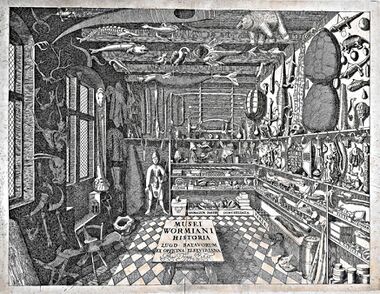 Engraving of room cluttered with objects, including some items of Inuit clothing