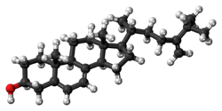 Ball-and-stick model of 5-dehydroepisterol