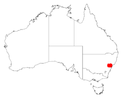 Acacia matthewiiDistMap580.png