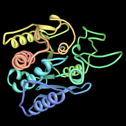 Carboxypeptidase-a-pdb-5CPA.png