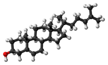 Ball-and-stick model of the desmosterol molecule