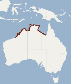 Distribution of Pipistrellus westralis.png