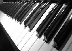 Keyboard (musical instrument) keys close-up.jpg