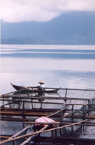 File:Lake Maninjau.jpg