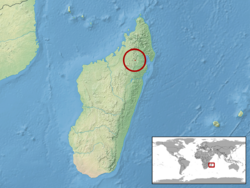 Lygodactylus ornatus distribution.png