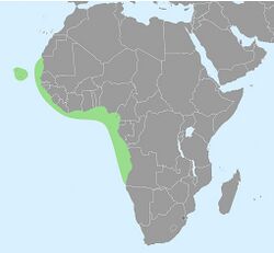 Ocypode africana distribution map.jpg