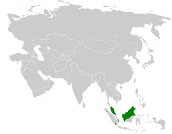 Pycnonotus zeylanicus distribution map.png