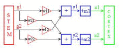 Schematic of a neural network executing the Gaussian adaptation algorithm.GIF