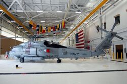 US Navy 090630-N-3436L-003 An MH-60R.jpg