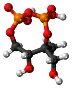 Ball-and-stick model of the 2-C-methyl-D-erythritol-2,4-cyclodiphosphate molecule