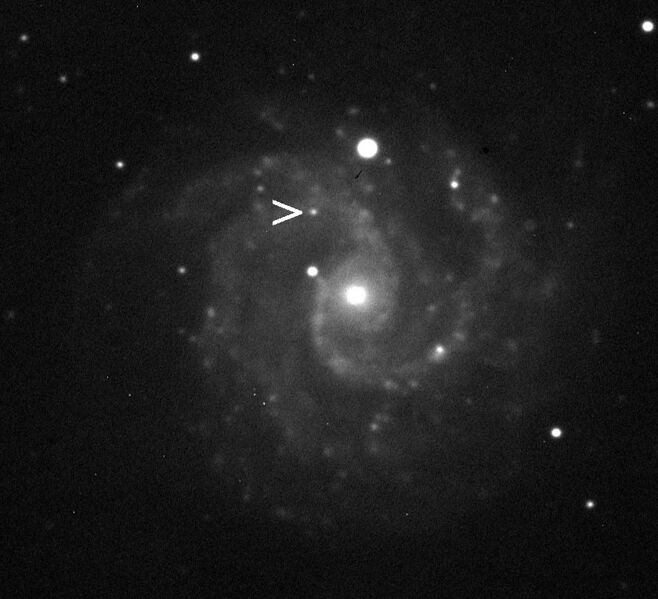 File:2010dn-NGC3184-2010Jun01.jpg