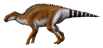 Brachylophosaurus NT.png