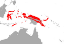 In Indonesia and Papua New Guinea