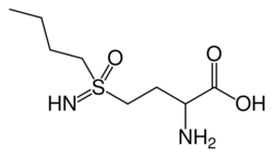 Buthionine sulfoximine.svg